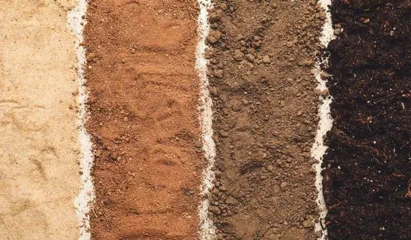 Clasificación del Suelo